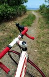 bike 002.jpeg