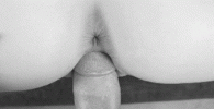 C17ADA06-E32F-4B4C-BC37-98E3C4F44F69.gif