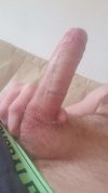 1666705528133-1.JPEG