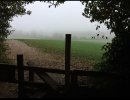 071EE870-7A7C-4550-B98C-502E66386E2E.jpeg