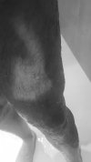 leg.jpg