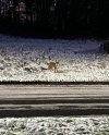 DE847812-9AA7-425E-A1A7-B7CF1D417033.jpeg