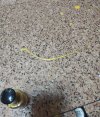 20221229_211200.jpg