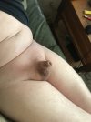 460_1000.jpg