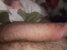 Compress_20230319_022745_5266.jpg