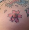 Nipple.jpg