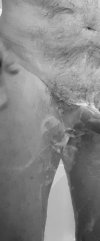 20221019_174823.jpg