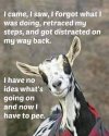 FB_IMG_1679432933054.jpg