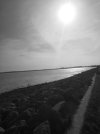 Compress_20230430_211551_1987.jpg