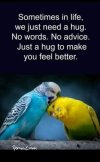 FB_IMG_1683381048146.jpg