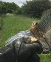 IMG_5094.jpeg