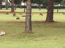 IMG_2624.jpeg