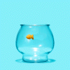 25HAKIM1-superJumbo.gif