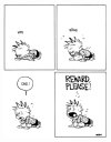 IMG_8166.jpeg