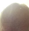 IMG_1219 shiny bald head.jpg