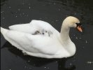 IMG_0674.jpeg