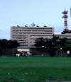 20230715_191004_1_2.gif