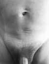 IMG_1590.jpeg