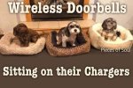 FB_IMG_1691411477665.jpg