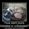 FB_IMG_1691256518092.jpg