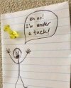 FB_IMG_1691090092654.jpg