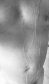 IMG_2966.jpeg