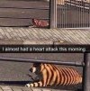 IMG_1645.jpeg