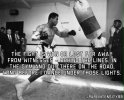 IMG_3755.jpeg