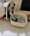 IMG_1672.jpeg