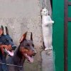 IMG_1698.jpeg