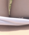 garden2a.gif