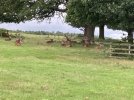 IMG_1260.jpeg