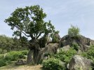 IMG_1207.jpeg