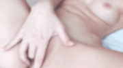 m48m.gif m48m.gif