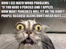 IMG_1754.jpeg