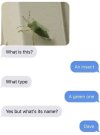 IMG_1760.jpeg
