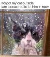 IMG_1772.jpeg