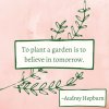 best-quotes-for-plant-lovers.jpg