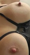 tits (3).jpg