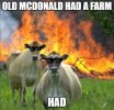 IMG_1809.jpeg