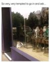 IMG_1810.jpeg