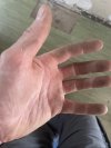 IMG_7012.jpeg