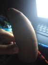 IMG_20231006_222705.jpg
