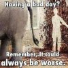 IMG_1855.jpeg