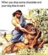 IMG_1914.jpeg