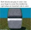 IMG_1924.jpeg