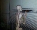 IMG_1974.jpeg