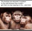 IMG_1979.jpeg