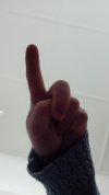 IMG20231103145520.jpg