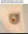 IMG_1999.jpeg